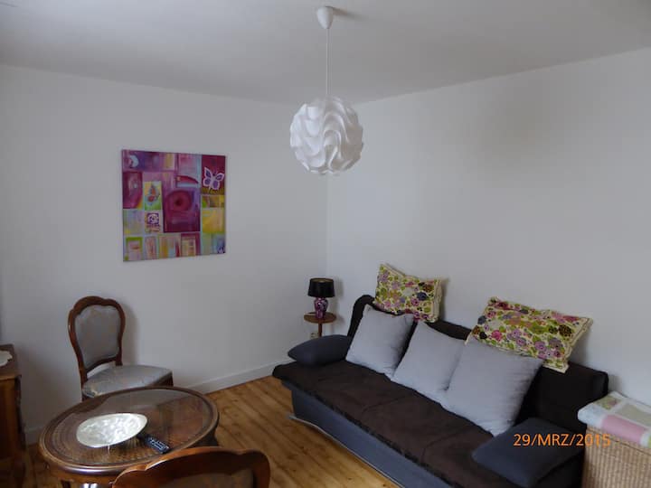 Living area with sofa bed