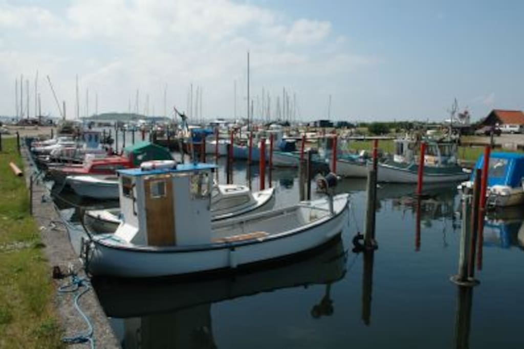 The little harber at Faldsled