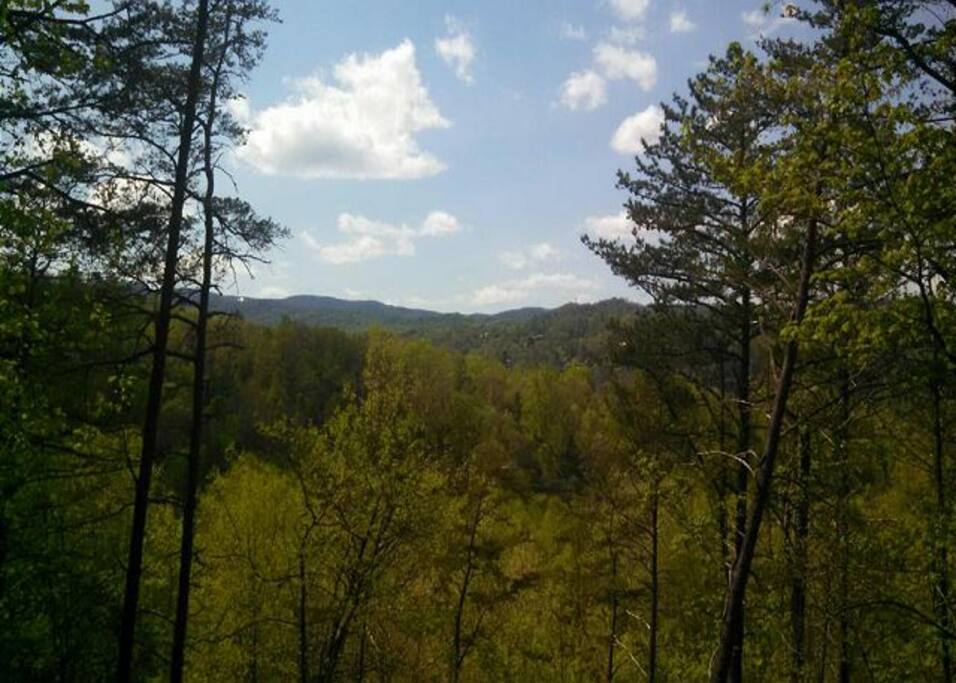 A "half a million dollar view!"