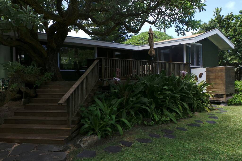 view from the yard to the back of Dukes