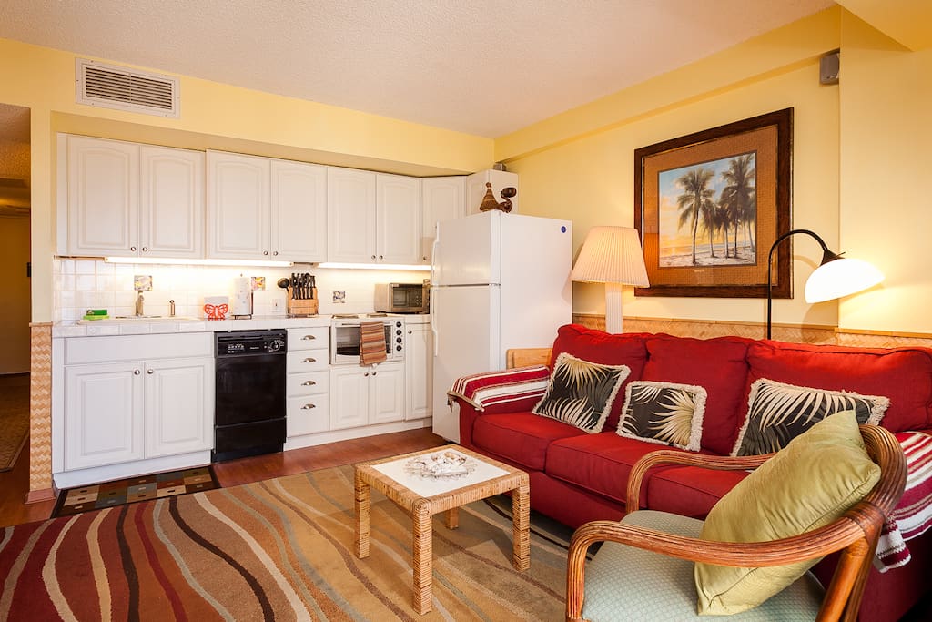 Living room and kitchen and sofa bed