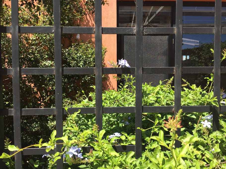 Front Court Yard through to Front Door