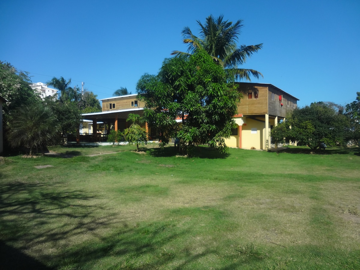 A spacious outdoor area is shown, featuring a well-maintained lawn surrounded by tropical trees. The two-story wooden building is depicted with a covered patio area for relaxation, complemented by bright exterior colors and clear blue skies above.