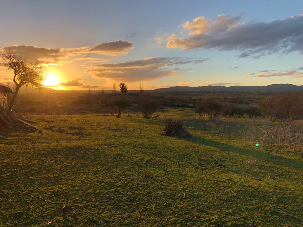 A vast open landscape is illuminated by a warm sunset, casting soft light over the green fields. Silhouettes of trees and distant mountains are visible in the horizon, creating a serene natural setting.