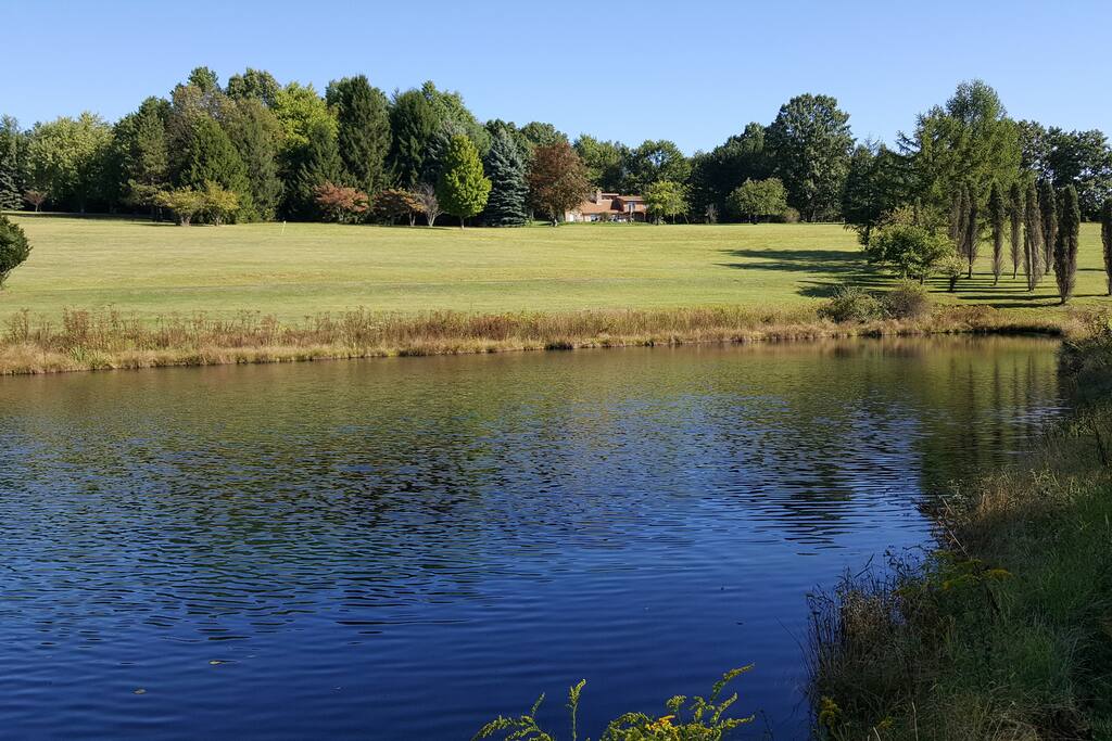 Swimming pond