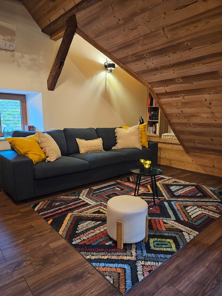 Მისაღები ოთახი კომფორტული გასაშლელი დივნით. Იდეალური ადგილი დასასვენებლად ალსასის 4 კუთხეში სიარულის შემდეგ ✨️