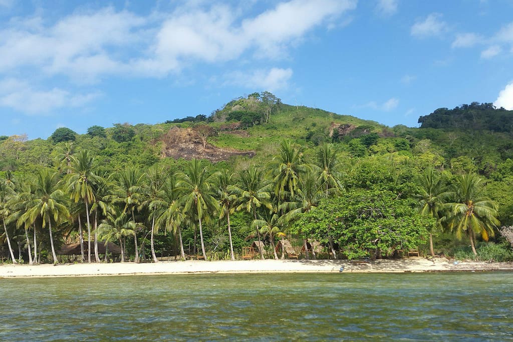 View of the property