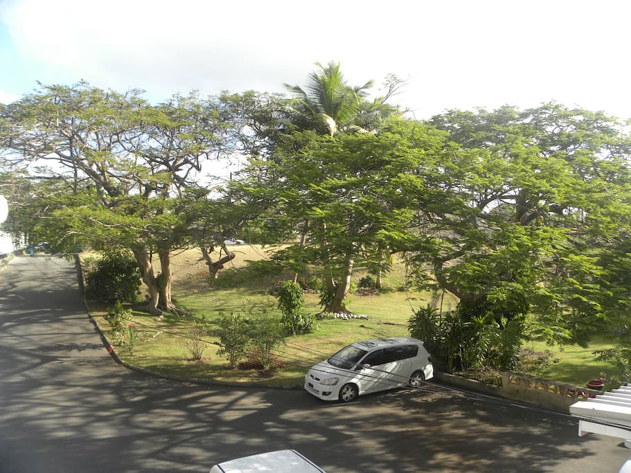 Driveway to Arritxu and grounds - view from your patio and bedrooms