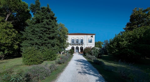 Historic villa surrounded by the trees