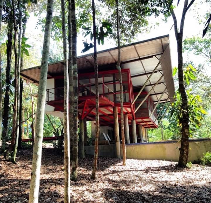 Casa Charmosa na Floresta Amazônica Casas de campo para