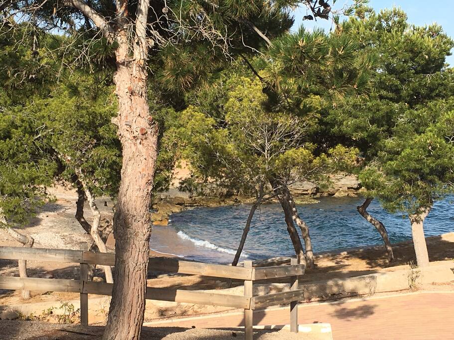 The lovely cove at the end of our road 5 minutes on foot