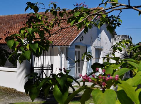Charming 2 Bedroom Gîte in vineyard, sleeps 4/6