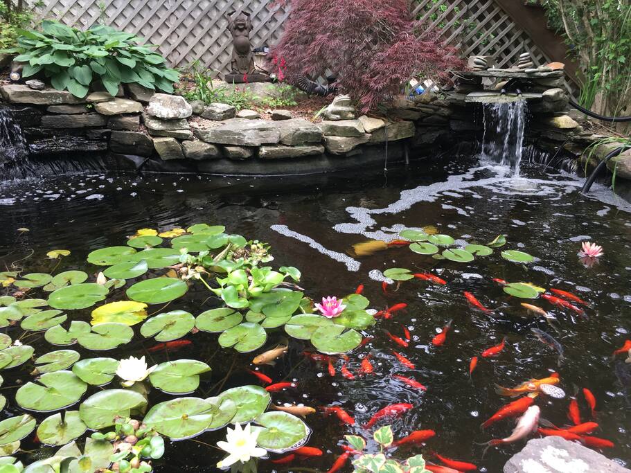 One of our favorite features – Koi pond and sitting area