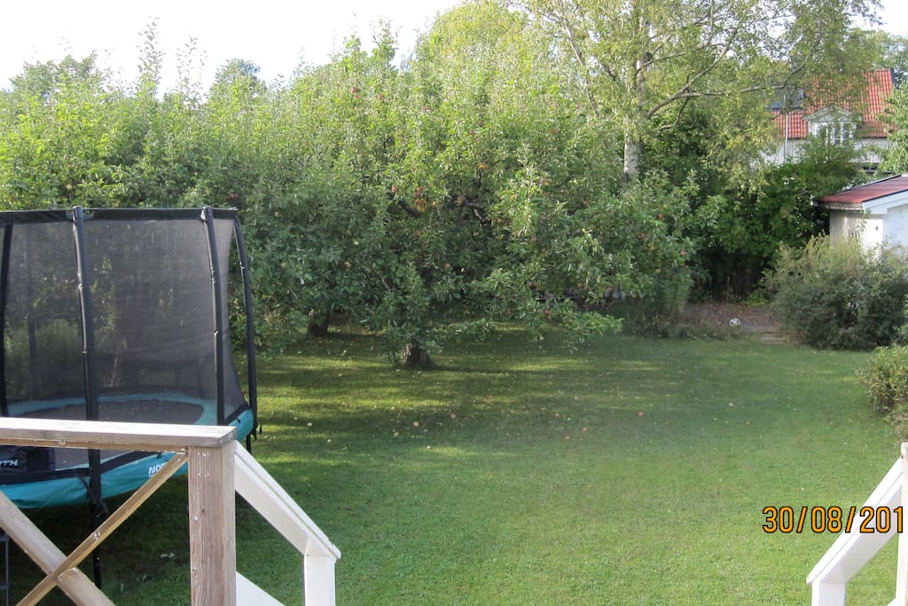 The property with a trampoline
