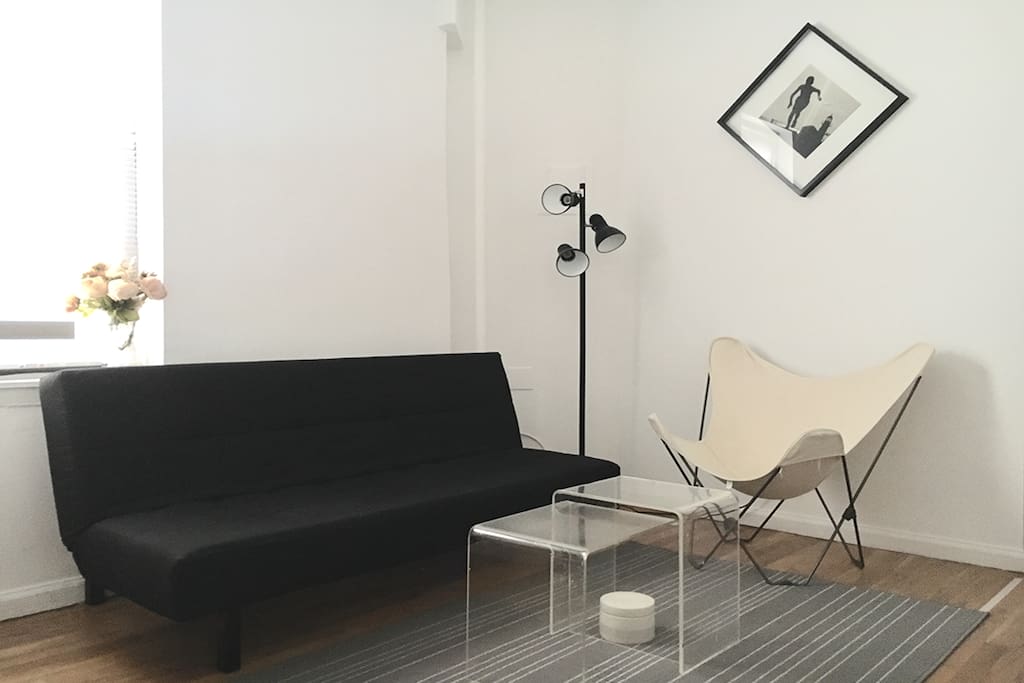 Living Room with Designer Furniture