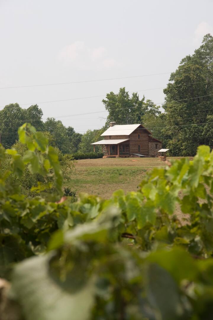 Stony Knoll Vineyards Wine Lodge Houses for Rent in Dobson, North Carolina, United States Airbnb