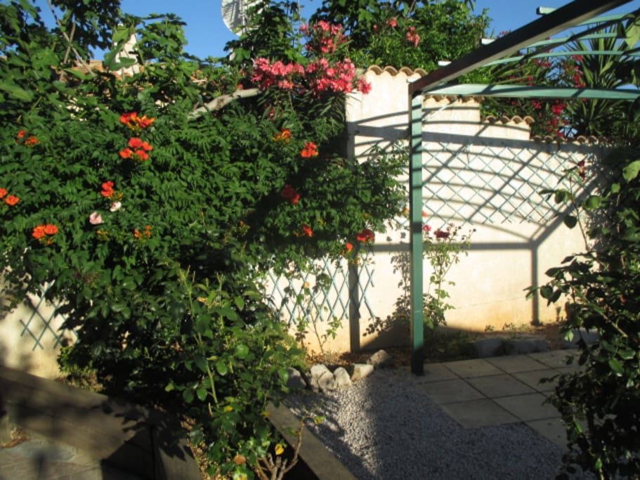 Jardin