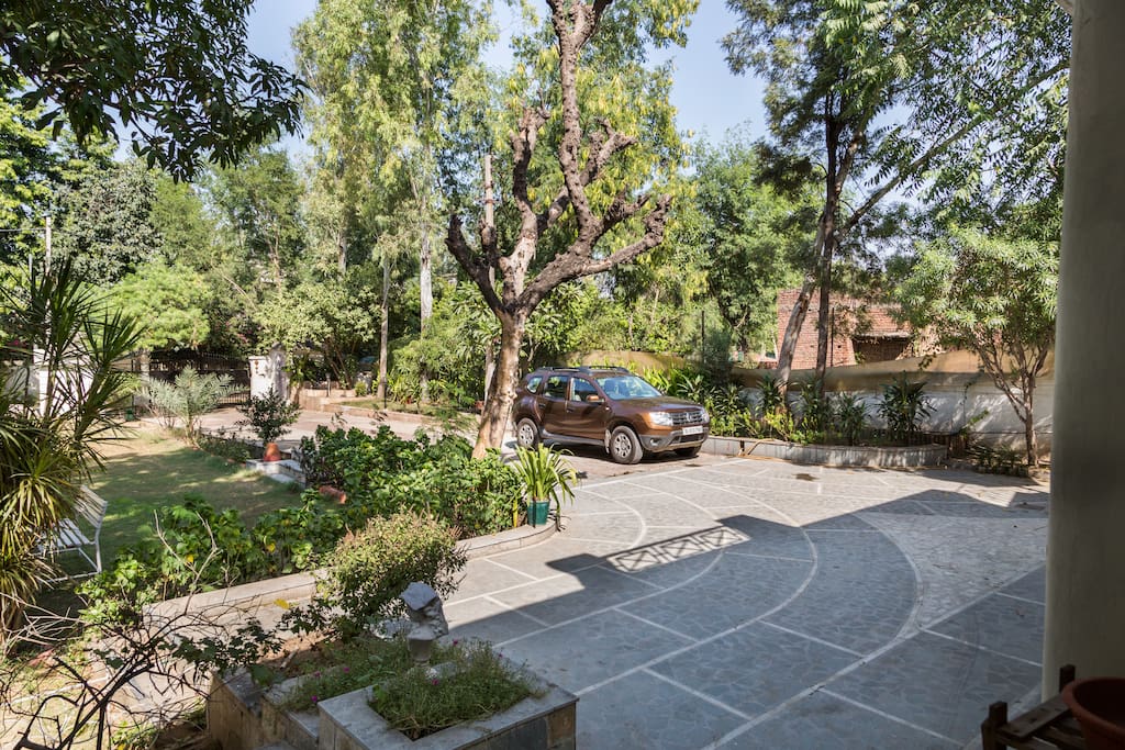 The driveway