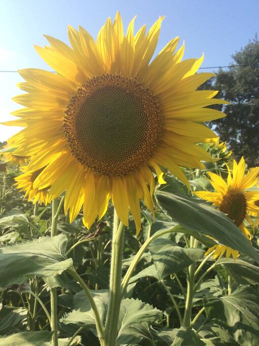 Here comes the sun!
