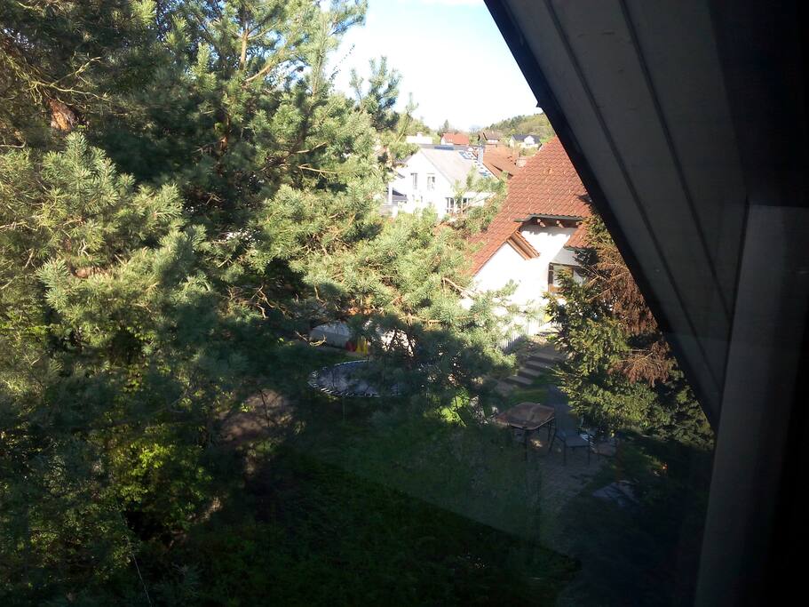viel Grün drumrum