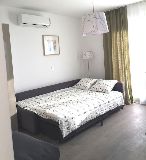 Sleeping area with a pull out sofa
