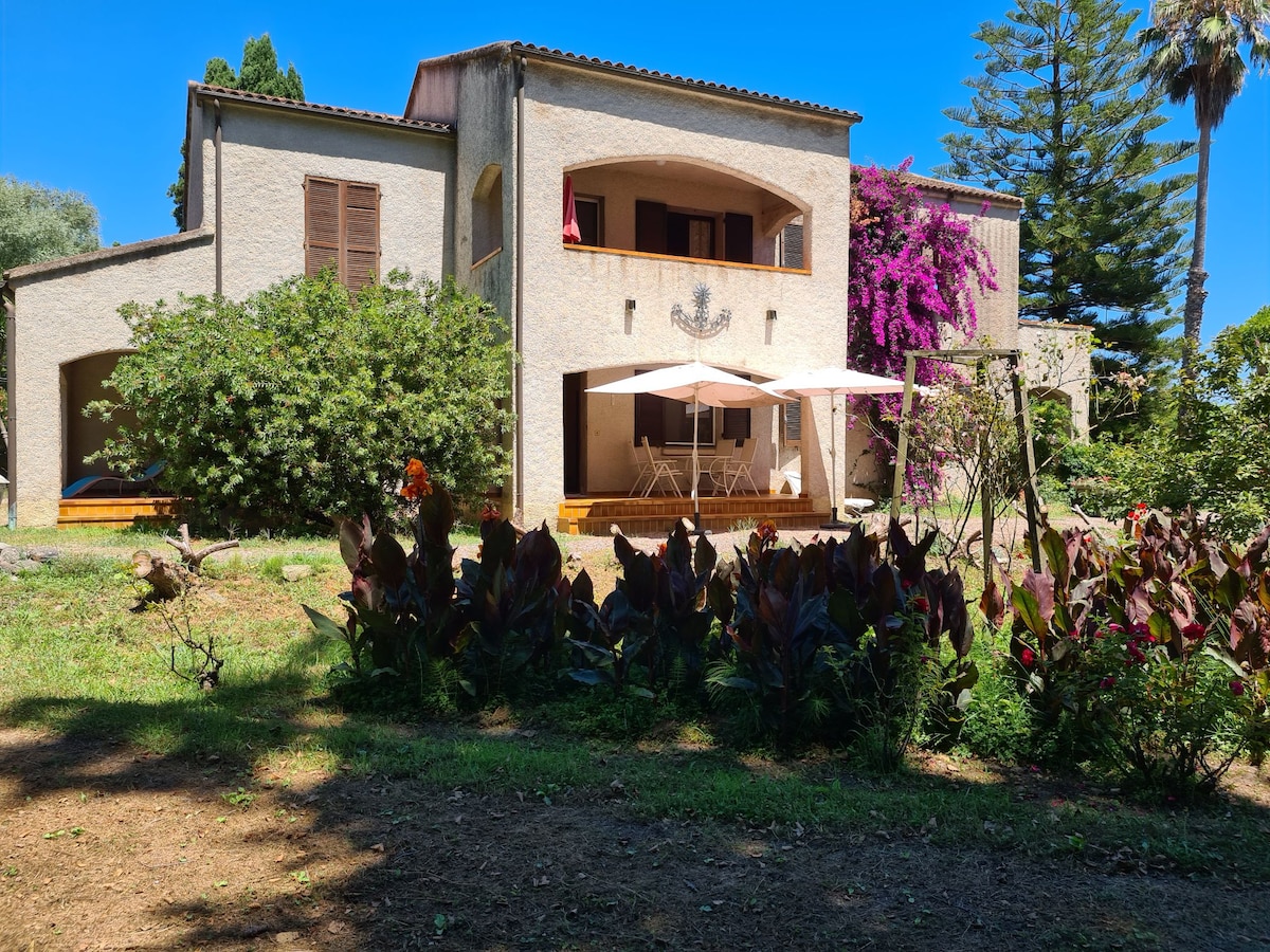 A two-story building is framed by green foliage, with vibrant pink bougainvillea cascading over the balcony. Sun loungers are positioned in front of the upper terrace, while shaded areas are found below. The surrounding garden features a variety of plants, offering a serene outdoor setting.