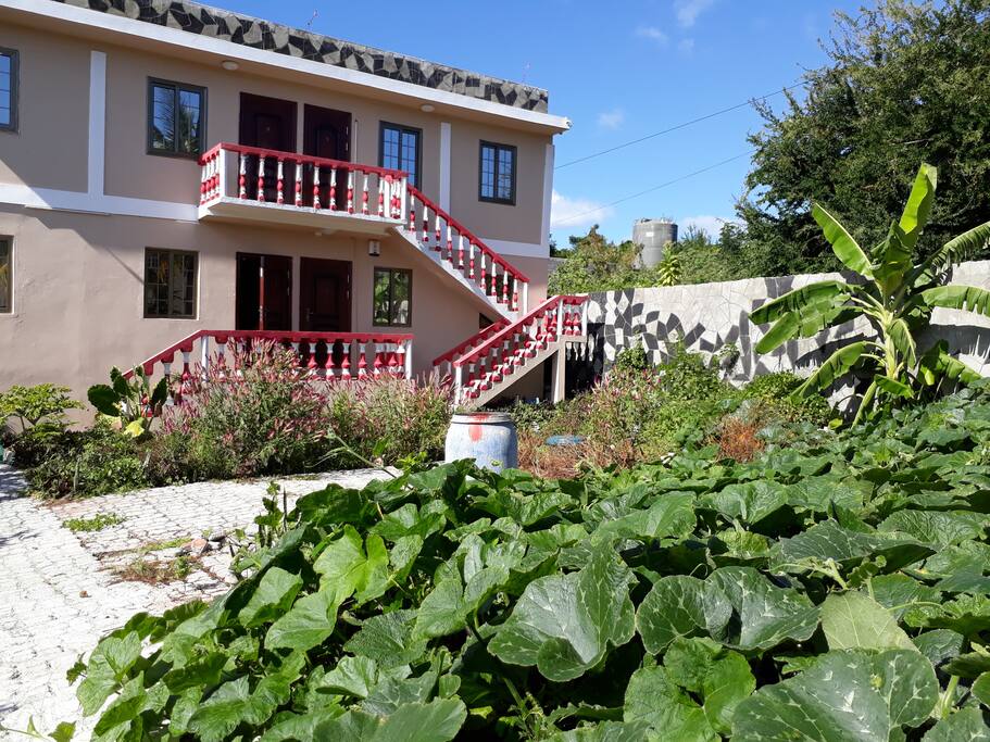 front garden