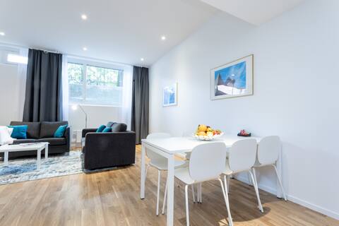 Two Bedroom apartment Basement