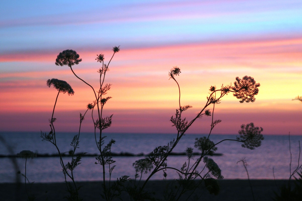 Ocean View Beach Vacation Rentals Homes Norfolk Va Airbnb Ocean View Beach Vacation Rentals Homes Norfolk Va Airbnb