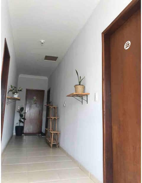 Entire apartment - New