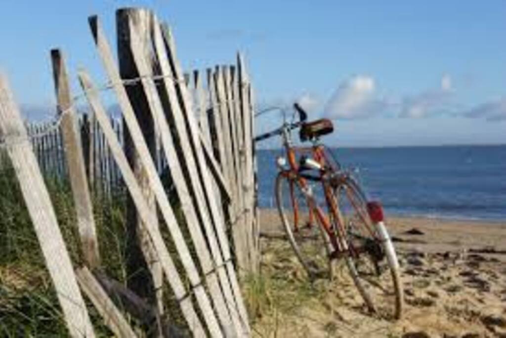 Le bord de mer