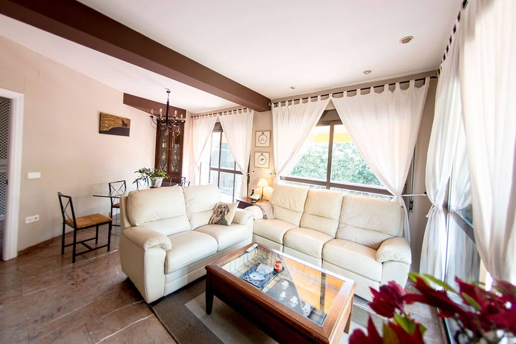 Room+priv. bath Center of Seville! Apartments for Rent in Seville
