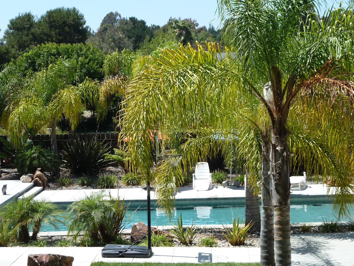 A swimming pool is surrounded by lush landscaping, featuring tall palm trees and various tropical plants. The pool area is spacious, with lounge chairs visible along the edge, inviting relaxation amidst a serene garden setting.