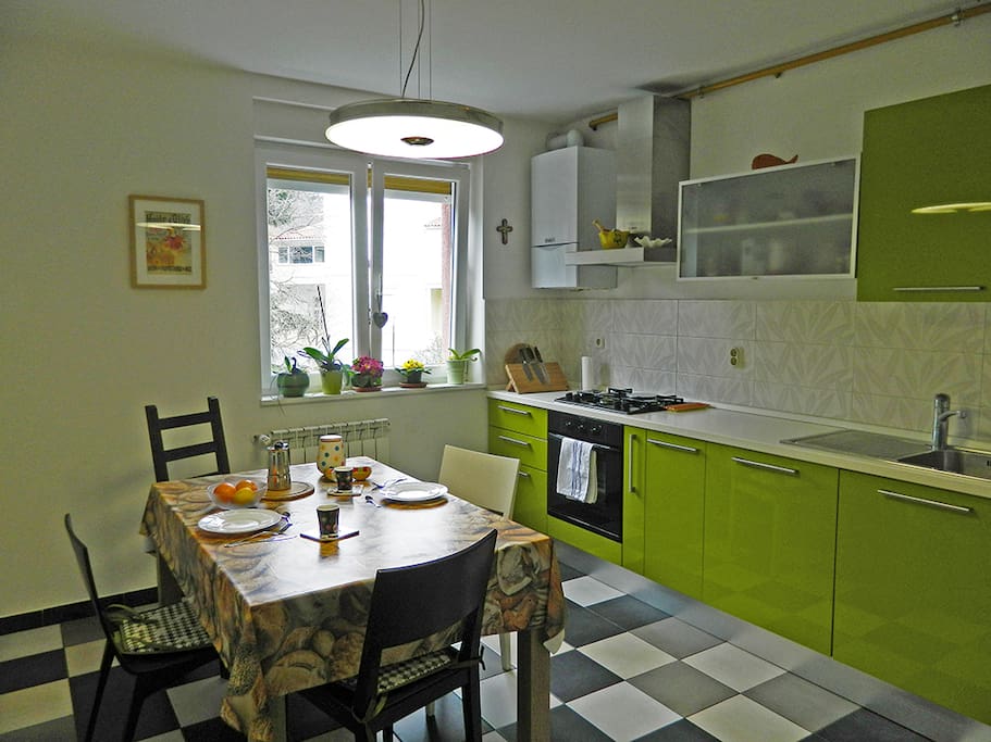 Fully equipped kitchen where you can prepare a snack or dinner