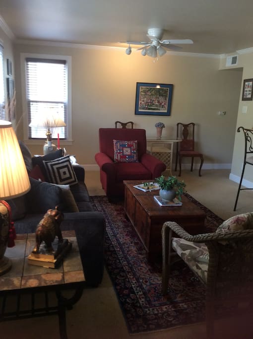 Living room. Couch lets out to queen bed.