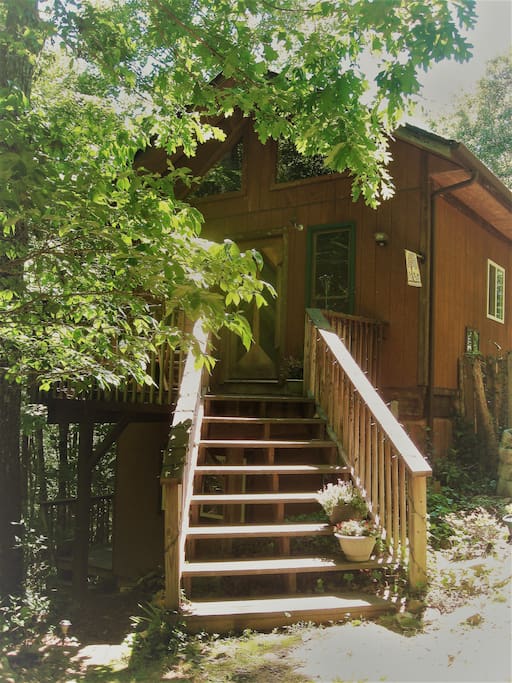 The steps up to our front deck...