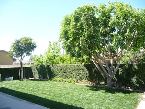 Mountain View (3 bedroom back house) DisneyLand