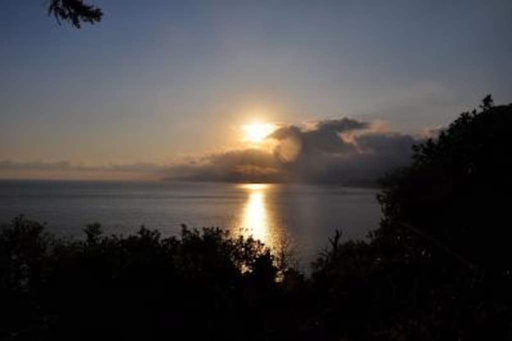 Alba