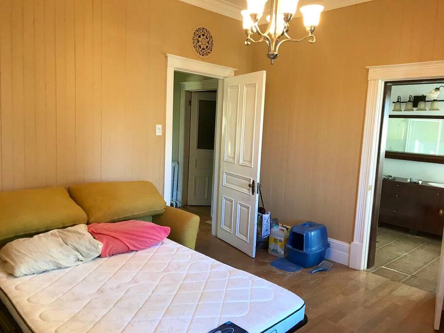 Chambre avec divan-lit et salle de bain privée.