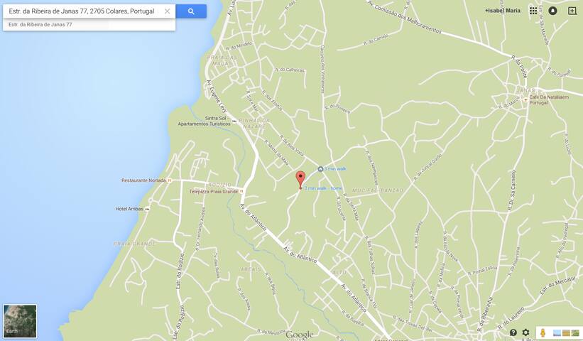 IN A PINEWOOD NEAR THE SEA gallery image 4