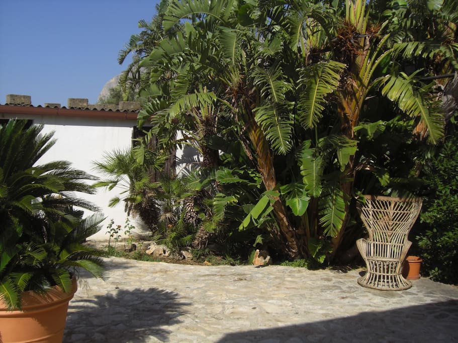 Villa Nini - Front drive