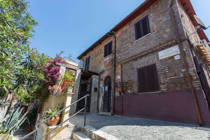 St. Peter's Garden, VATICAN