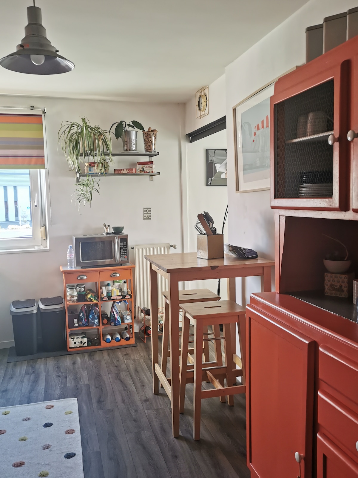 A compact kitchen area features orange cabinetry, a microwave, and a small dining set with stools. A shelf displays plants and kitchen items. Two waste bins are positioned on the floor, and a colorful rug adds warmth to the space.