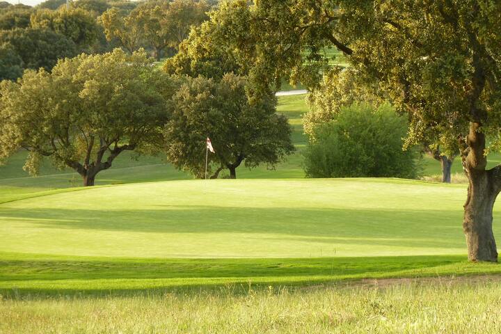 Apartamento en Campo de Golf