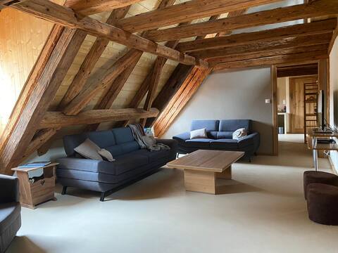 Large charming cottage in Alsace - 12-13 people