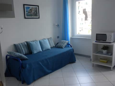 Pele 1 - Sea View - free parking and wifi 5terre