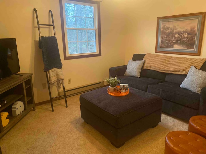 Pull out queen sized sofa bed