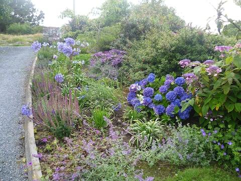 Garden Cottage in Coastal Con
amara