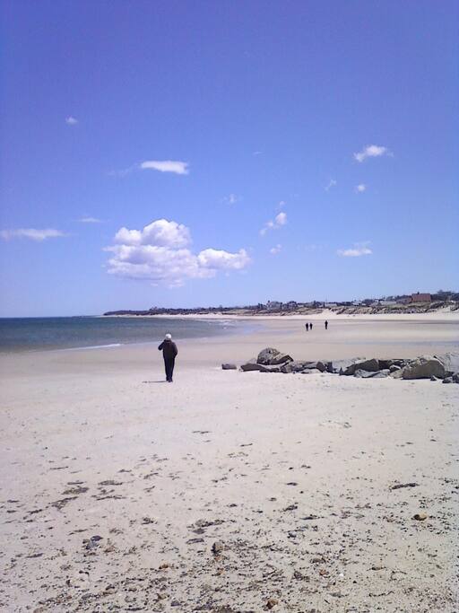 Corporation/ Howes St beaches