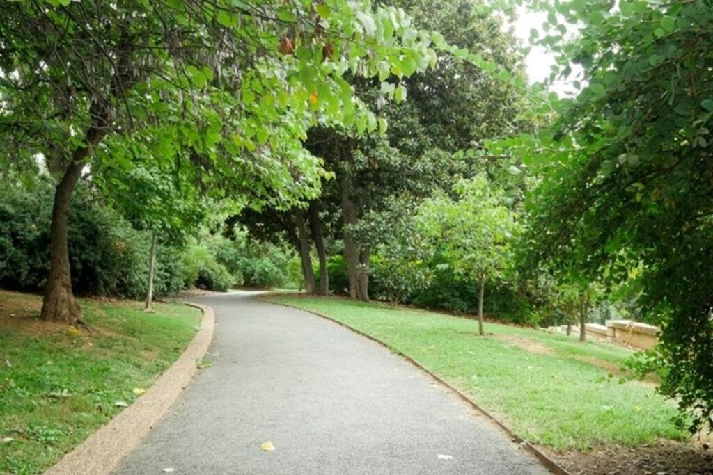 Park across the street from apartment